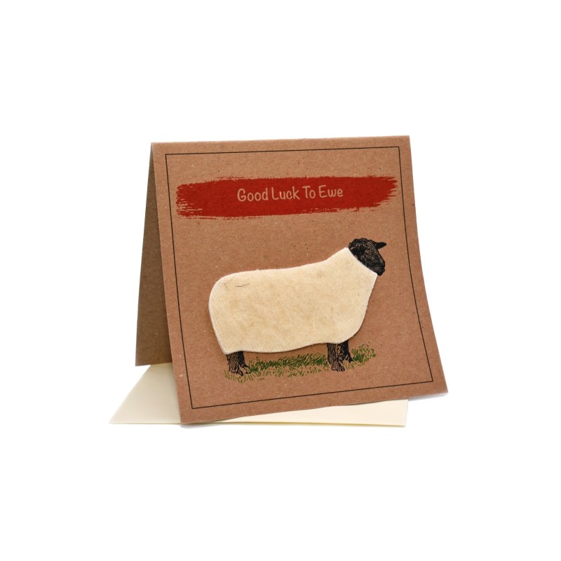 Good Luck To Ewe Sheep Greeting Card