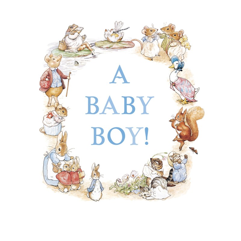 A Baby Boy! Peter Rabbit Beatrix Potter New Baby Card