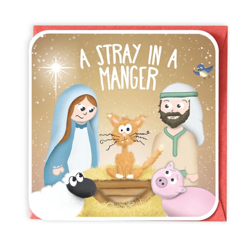 A Stray In A Manger Christmas Card