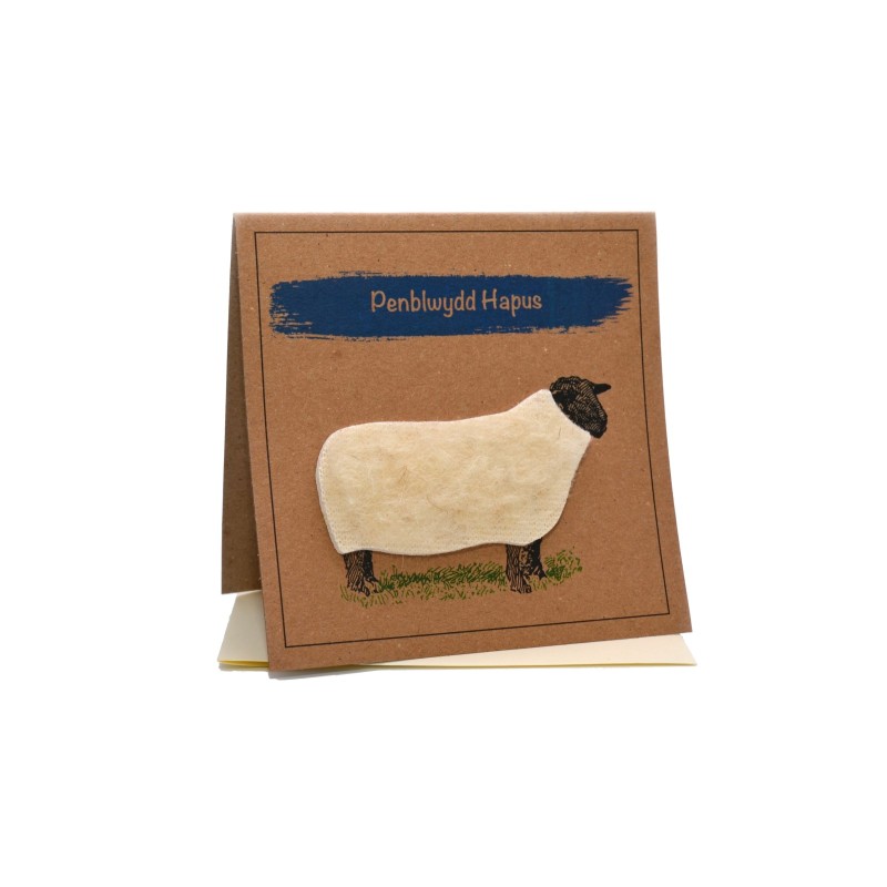 Penblwydd Hapus Sheep Birthday Card