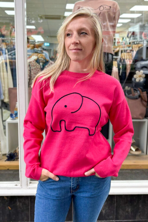 Alice Collins Elephant Pullover Jumper