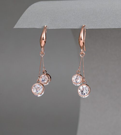 Diamante Circle Charm Drop Earrings