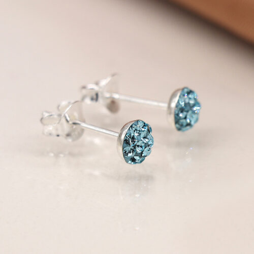 Circle Globe Crystal Stud Earrings