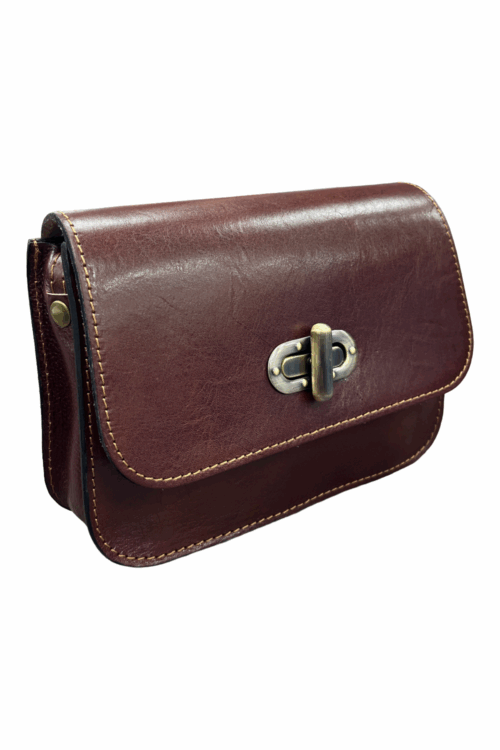 Small Leather Crossbody Satchel Bag