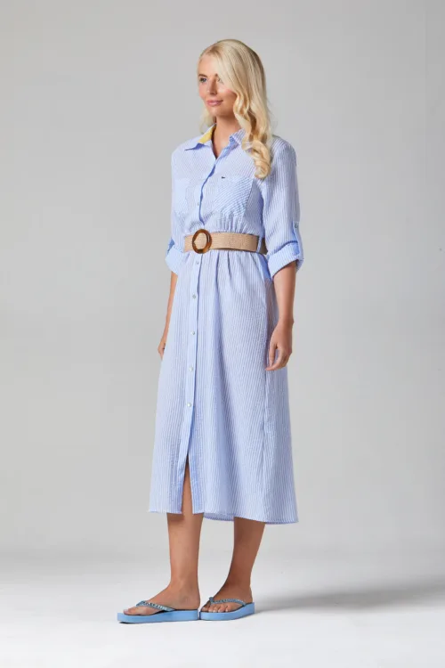 Amara Striped Shirt Dress